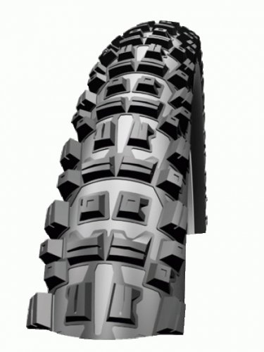 Schwalbe Big Betty Performance