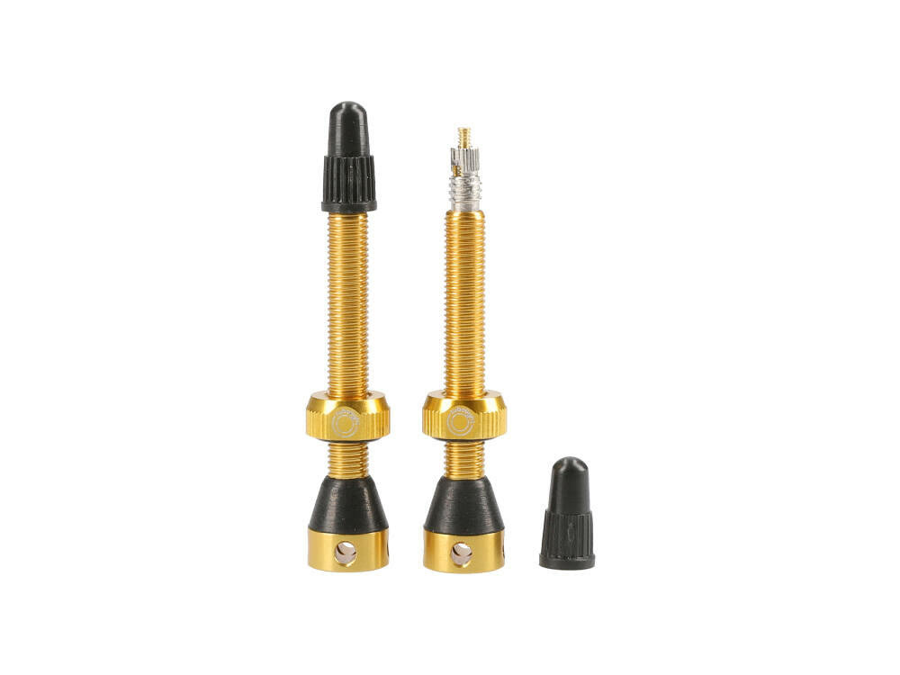 Tubolight Valves Pair Gold