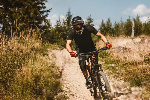 Force MTB Mount