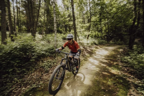 Force MTB Mount