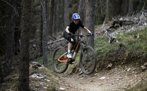 Haibike Lyke CF 10