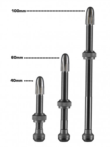 Schwalbe Tubeless Valve Set