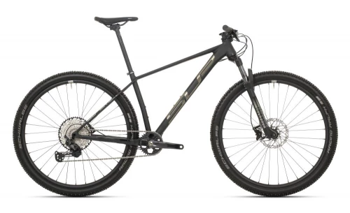Giant Terrago 29 2 GE SPOKE