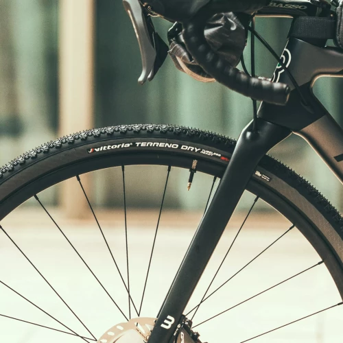 Vittoria Terreno Dry TLR
