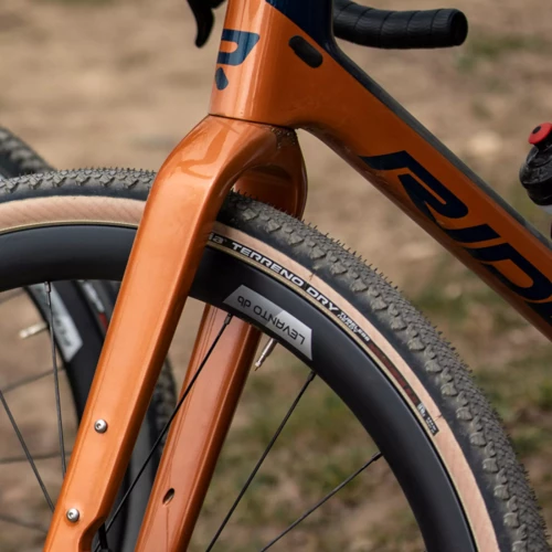 Vittoria Terreno Dry TLR Para