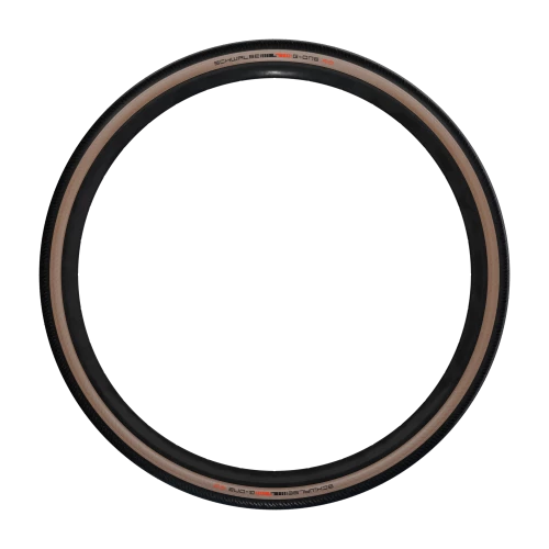 Schwalbe G-One RS Evolution Super Race