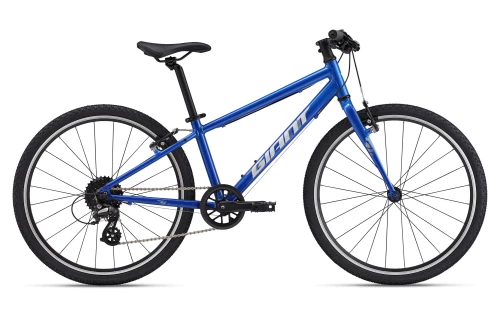 Giant ARX 24"