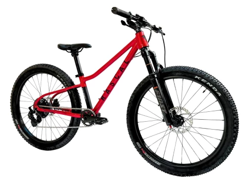 Rascal Wild 24 