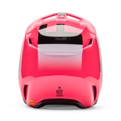 Fox V1 Shield Helmet