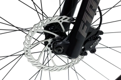 Rascal Wild 27