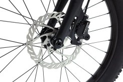 Rascal Wild 20