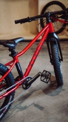 Rascal Wild 20