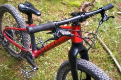 Rascal Wild 20