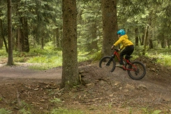 Rascal Wild 20
