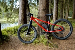 Rascal Wild 20