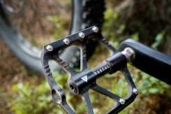 Rascal Wild 20
