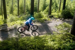 Rascal Wild 20