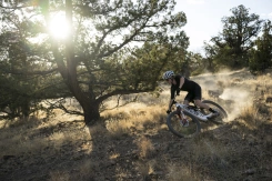 Giant Anthem Advanced SL SE