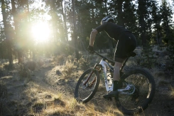 Giant Anthem Advanced SL SE