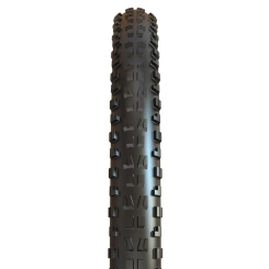 Maxxis Minion DHF 3T DD TR