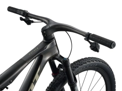 Giant Anthem Advanced SL 0 Raw Carbon