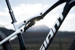 Giant Anthem Advanced SL 2