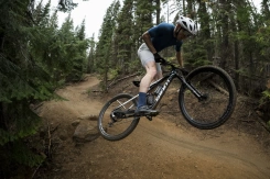 Giant Anthem Advanced SL 2