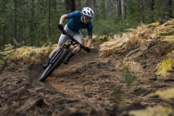 Giant Anthem Advanced SL 2