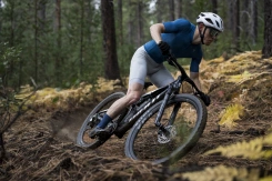 Giant Anthem Advanced SL 2