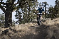 Giant Anthem Advanced SL 2