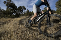 Giant Anthem Advanced SL 2