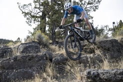 Giant Anthem Advanced SL 3 Carbon/Moon Dust