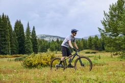 Giant Talon 29 2 Asphalt Green