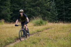 Giant Talon 29 3 Frost Silver