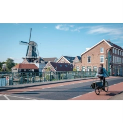 Selle Royal Avenue Relaxed