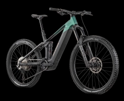 Raymon Vamok Comp 29