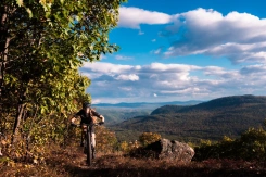 Liv Pique Advanced SL 2