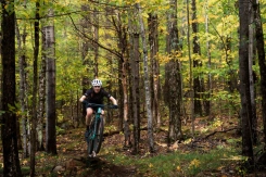 Liv Pique Advanced SL 1