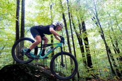 Liv Pique Advanced SL 1