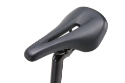 Liv Seek 2 Purple Haze