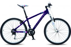 2013 Superior Modo 845