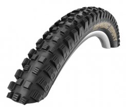 Schwalbe Magic Mary Performance