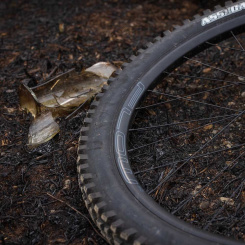 Stan's NoTubes Flow MK4 29"