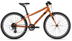 Giant ARX 24"