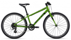 Giant ARX 24"