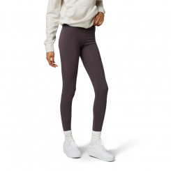 Fox Boundary Legging