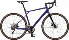 GT Grade Expert  2020