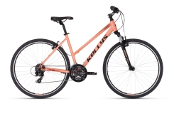 Kellys Clea 30 Desert Flower 28"