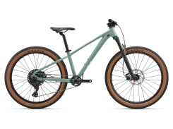 Liv STP 26 Eucalyptus