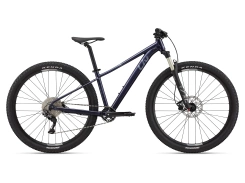 Liv Tempt 29 1 